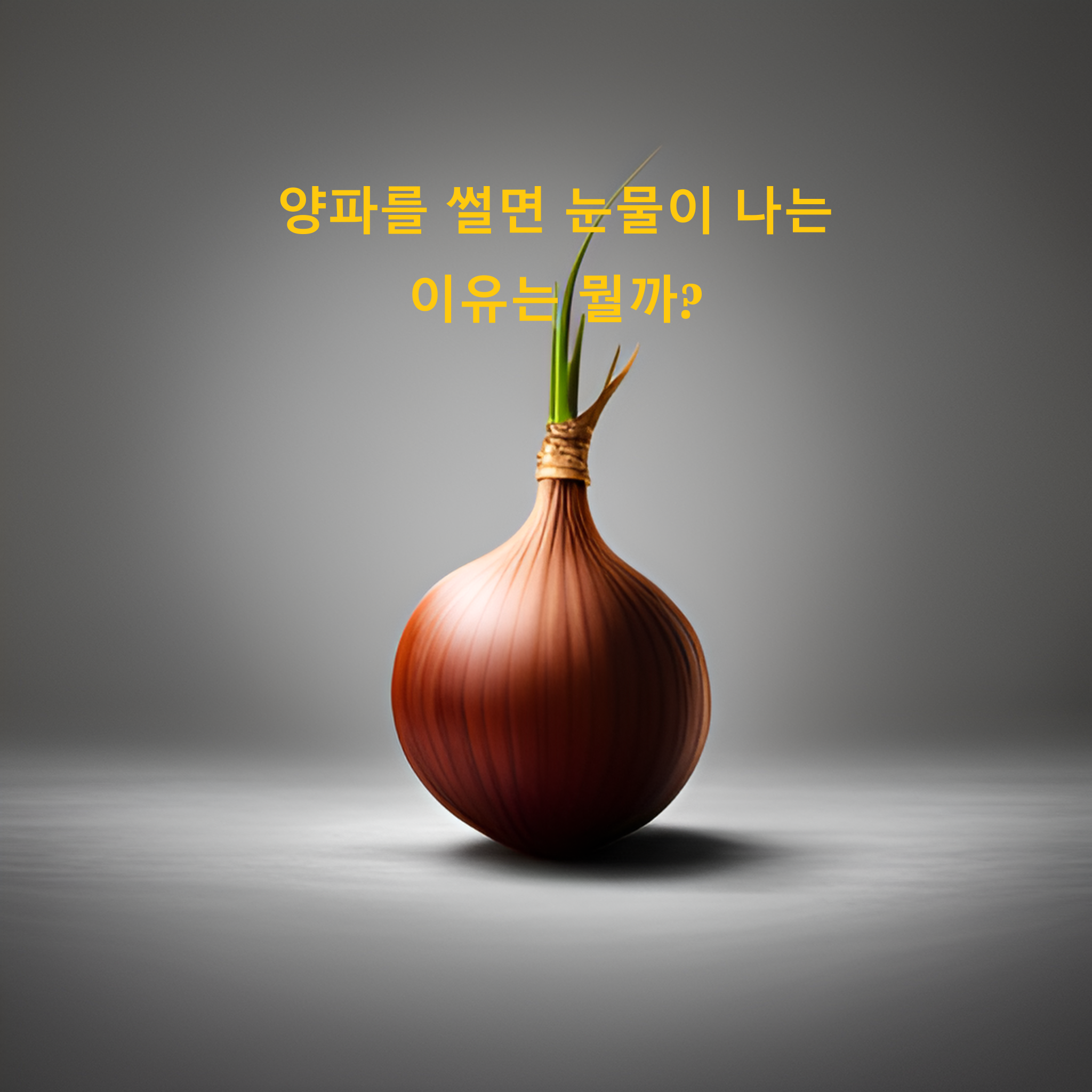 양파